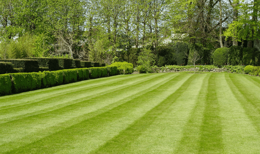 NashNative Landscaping