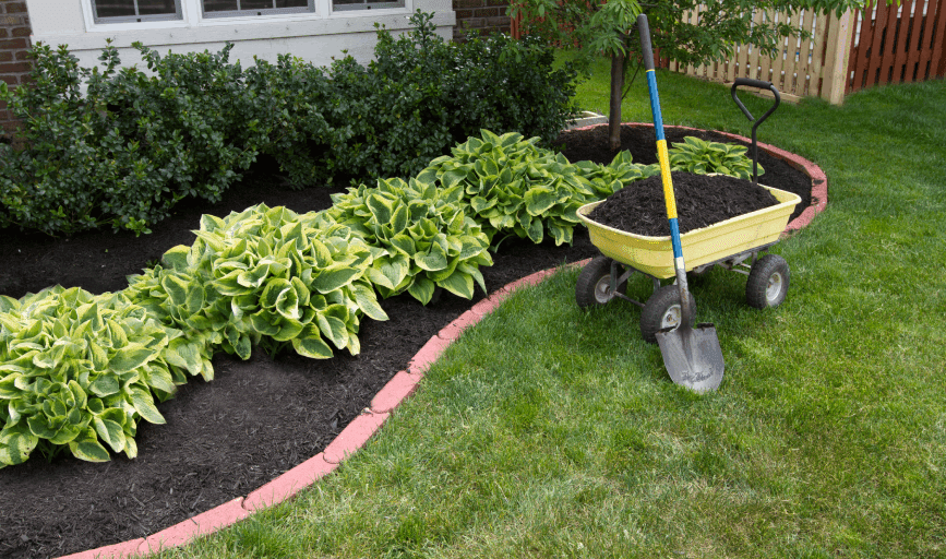 NashNative Landscaping